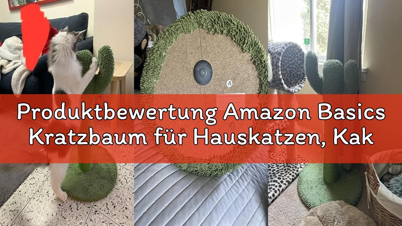 Produktbewertung Amazon Basics Kratzbaum für Hauskatzen, Kaktus-Kratzbaum, 3 Stämme, 68 cm, grün