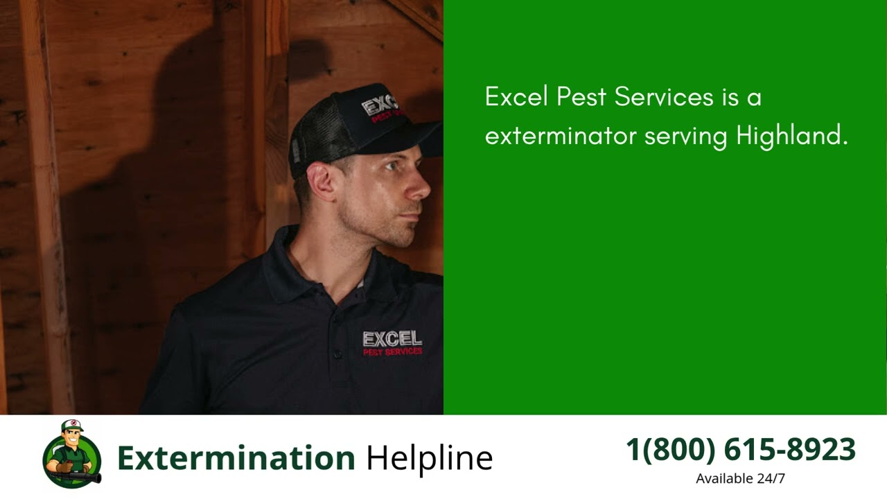 Top 3 Exterminators in Highland
