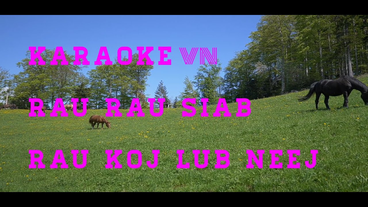 Karaoke 🔥 rau rau siab rau koj lub neej 👍