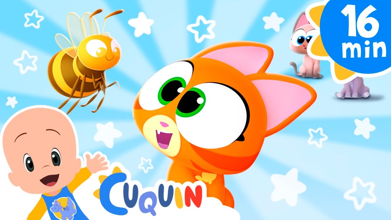 O gatinho quer ser uma abelha e mais músicas infantis | Cleo & Cuquín