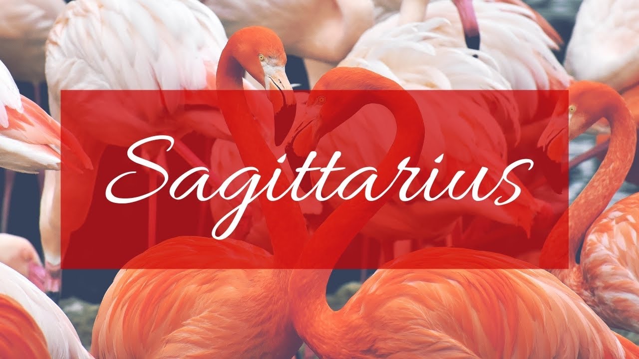 Sagittarius❤️The one you are not talking to right now: Their thoughts, feelings, intentions &actions