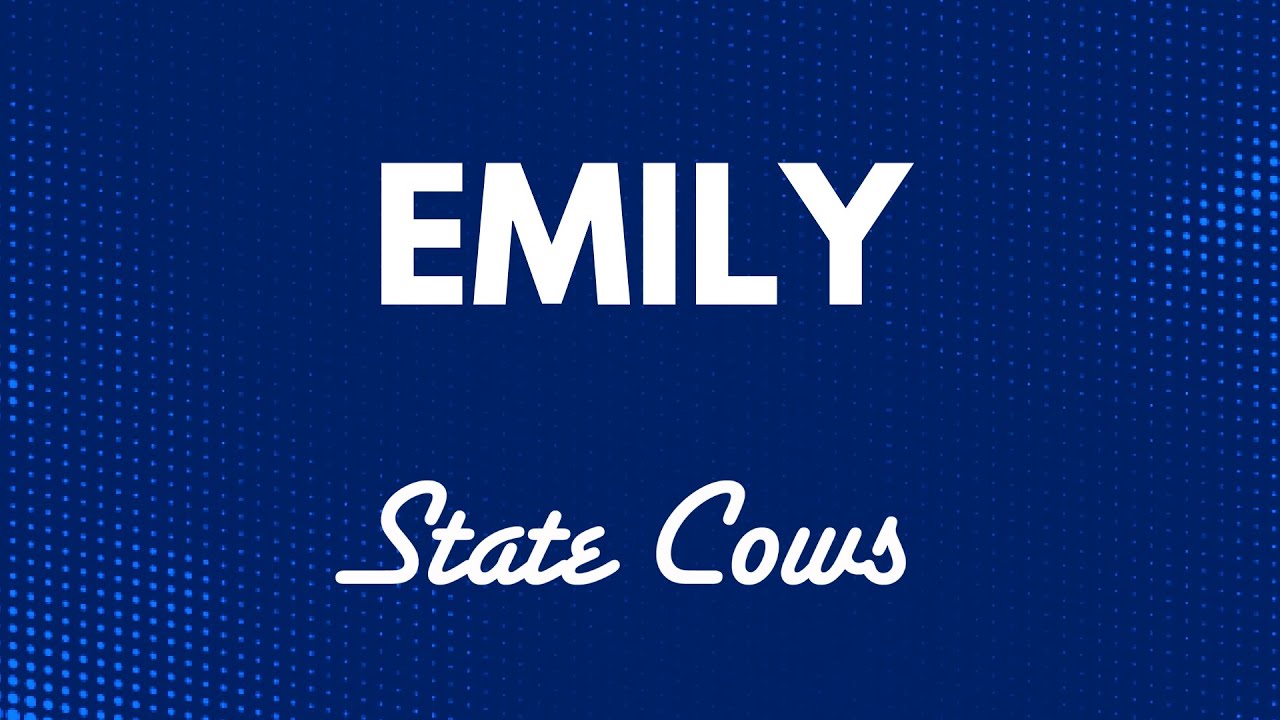 State Cows - Emily (westcoast aor / yacht rock, 2022)