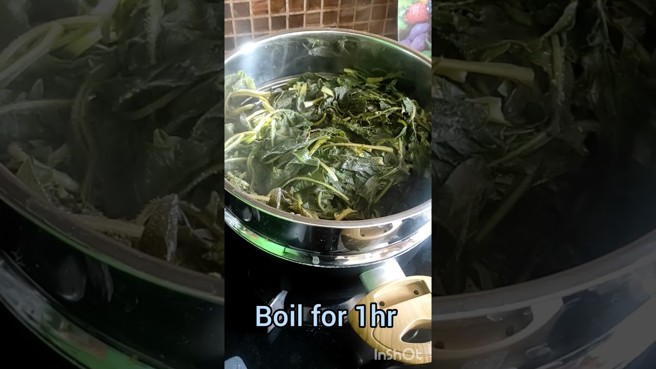 How to cook Radicchio selvatico (in English is called Chicory ☘️ plant #viral )