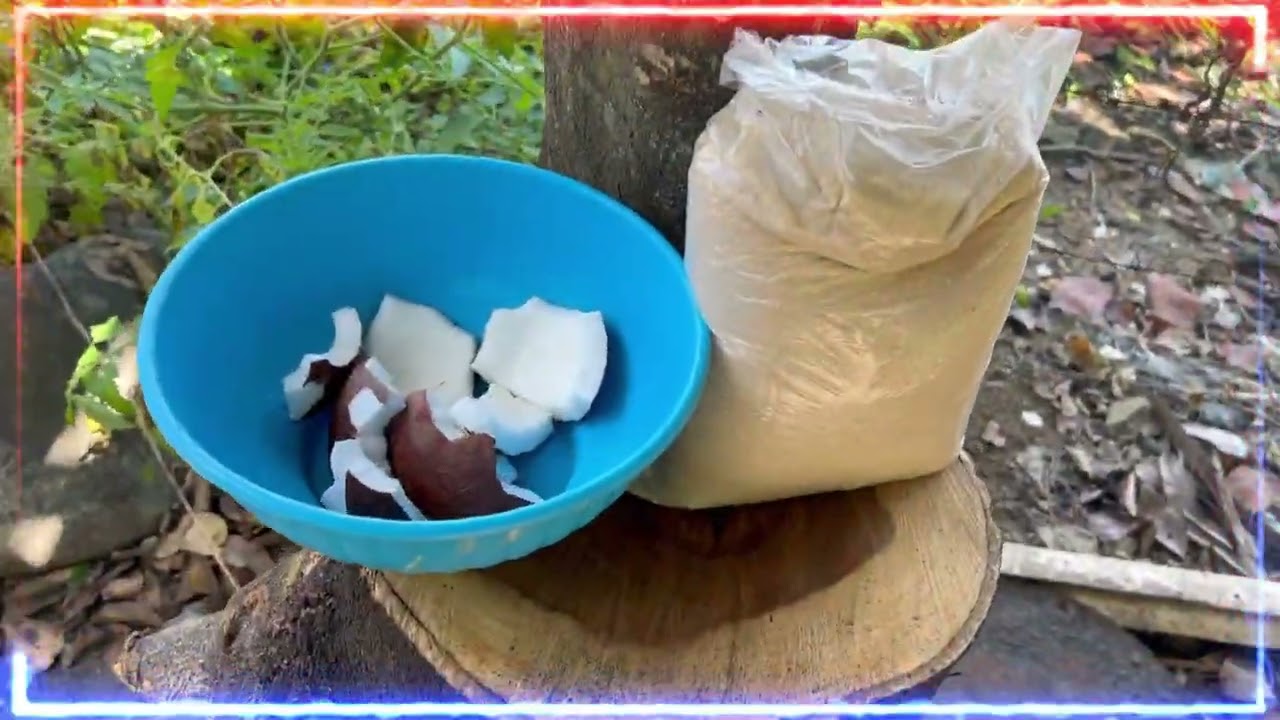 DISFRUTEN LAS RICAS HABICHUELAS CON DULCE DE THE DTVSHOW