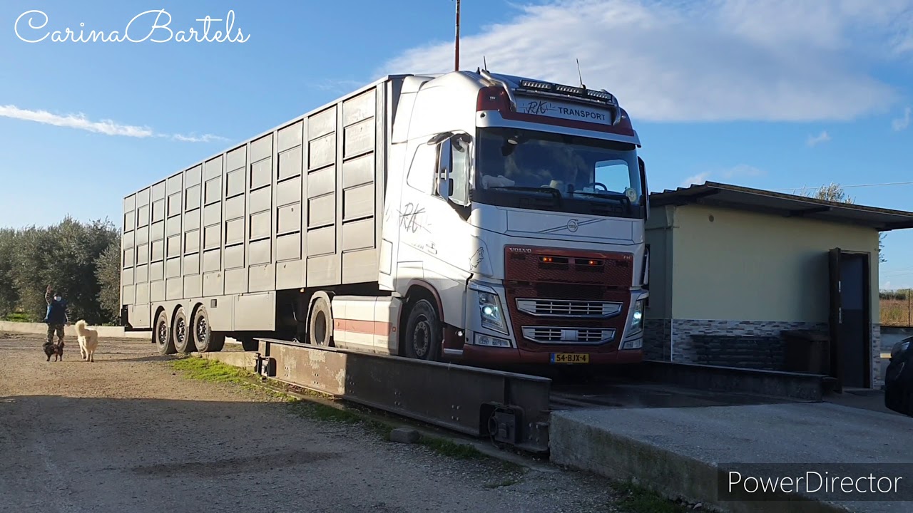 Holland - Foggia (Italy) RK Logistiek (Ladytrucker on tour) Veetransport DJI P4 & DJI Osmo