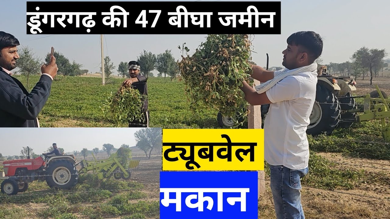 डूंगरगढ़ की 47 बीघा जमीन बिकाऊ,मकान, ट्यूबवेल, रोड फ्रंट ढाई हजार फुट, जिला बीकानेर राजस्थान