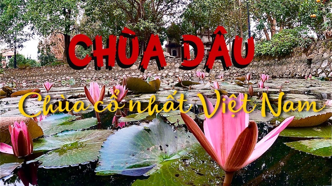 Khám phá ngôi chùa cổ nhất Việt Nam | Chùa Dâu thờ ai trong gần 2000 năm qua?