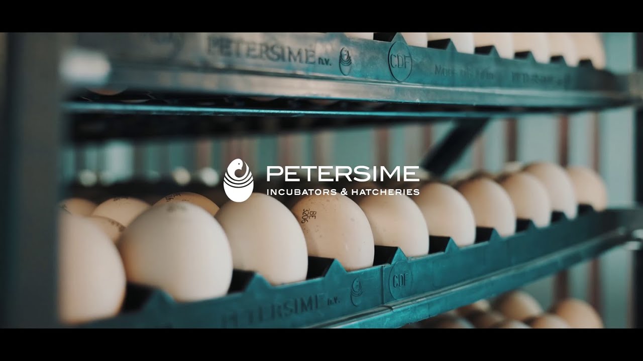 Petersime Corporate Video