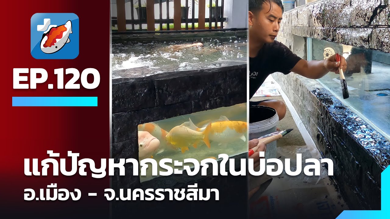 แก้ปัญหา กระจกในบ่อปลา โคราช - นครราชสีมา