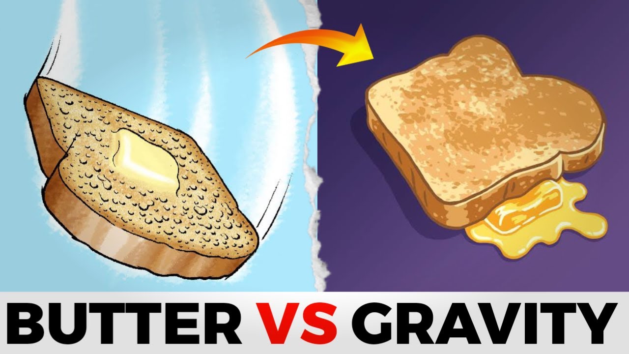 Why Toast Always Lands Butter-Side Down