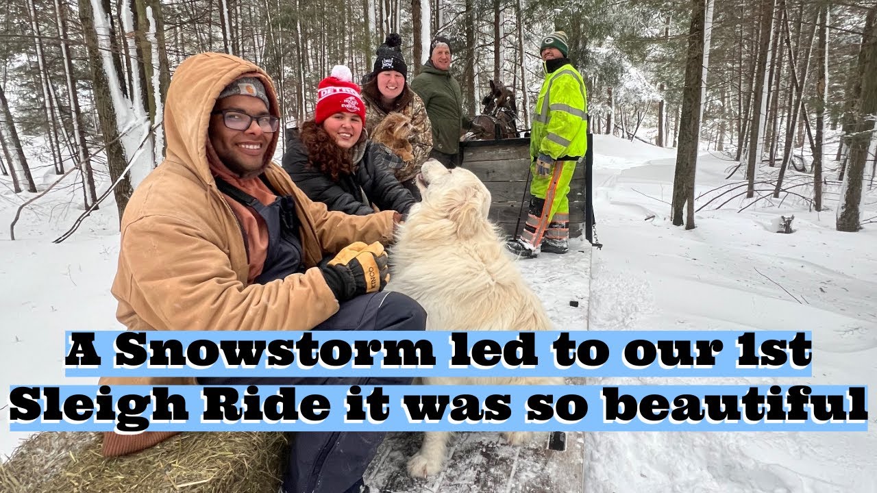 We Didn’t Plan This… A Snowstorm Led to the Most Beautiful Clydesdale Sleigh Ride ❄️