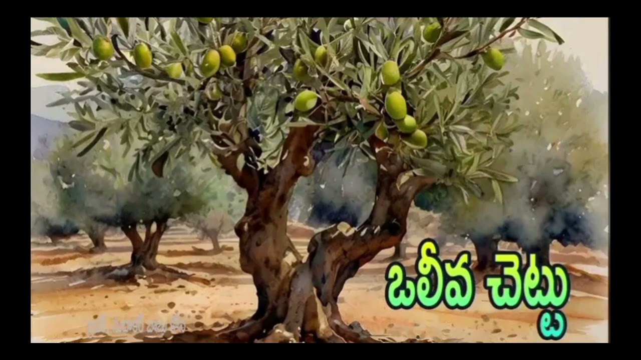 ఇది దేవుని శాంతికి  కొత్త ఆరంబానికి సంకేతం 