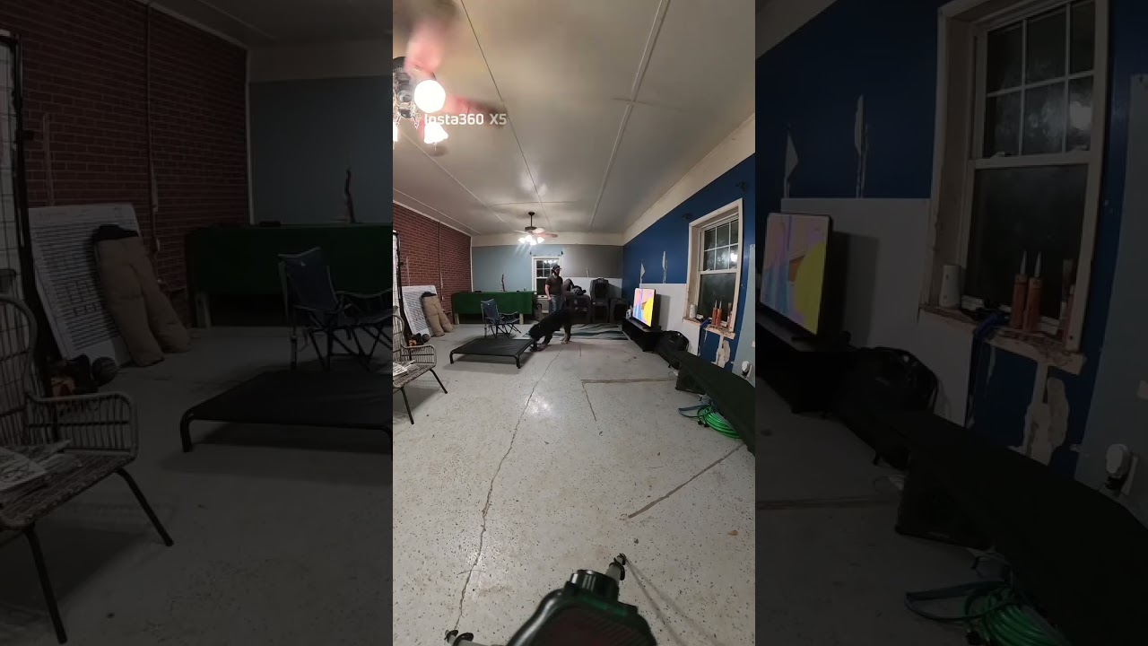 Part 12 Home Context Training & Play with Bernie!