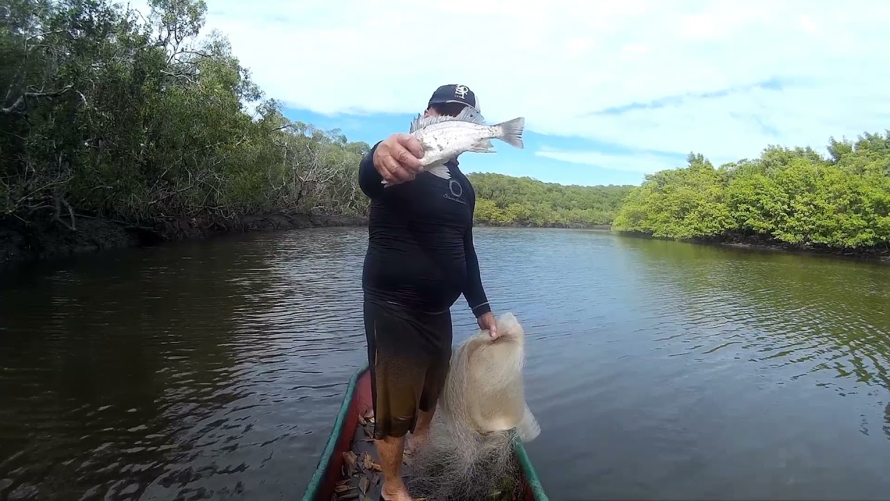 OLHA O QUE ESSA CANGO&Aacute; FEZ 😳😱 Pesca aben&ccedil;oada V&Aacute;RIOS PEIXES #robalo #tainha #incredible #fishing