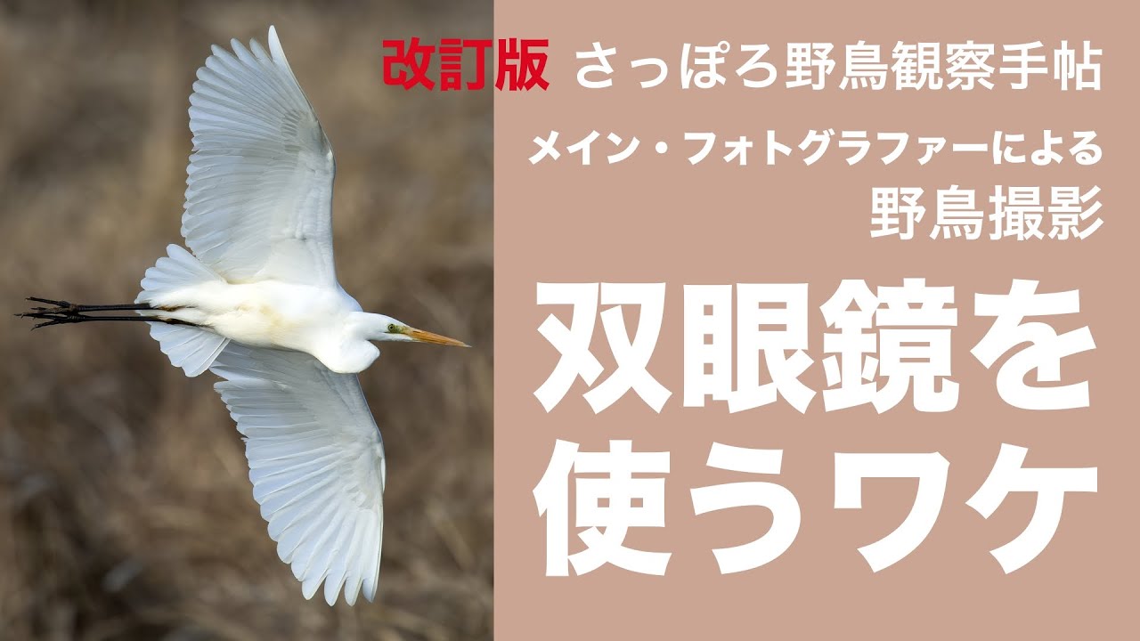 『改訂版 さっぽろ野鳥観察手帖』メインフォトグラファーが教える、野鳥撮影のコツと秘訣。そして撮影に双眼鏡が欠かせないワケ〈札幌バードトーク 2024 冬 ❸〉