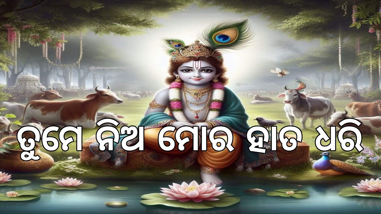ତୁମେ ନିଅ ମୋର ହାତ ଧରି ହେ ହରି ।। ଶ୍ରୀ ଜଗନ୍ନାଥଙ୍କ ଦିବ୍ୟ ଜଣାଣ ।। ଓଡ଼ିଆ ଭଜନ ।। ପ୍ରେମ ପନ୍ଥ‌‌‌ ।।