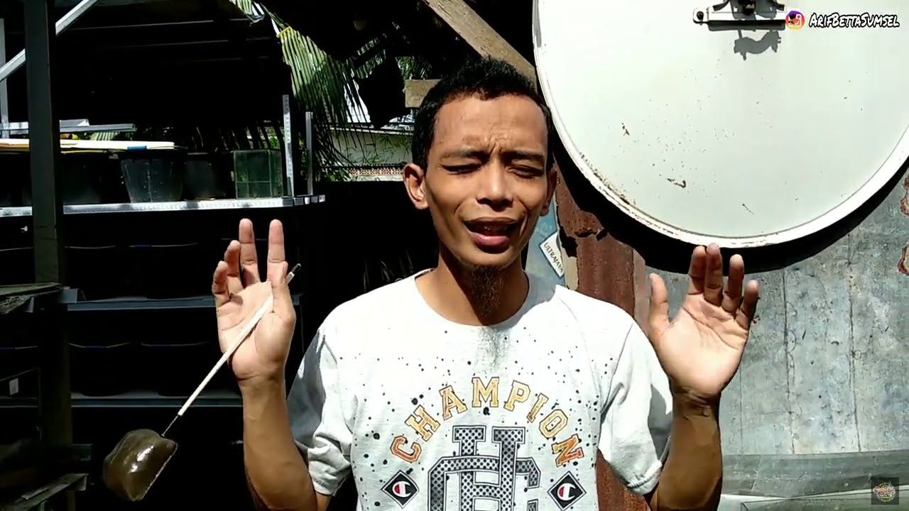 CARA AMPUH MEMECAHKAN WARNA
