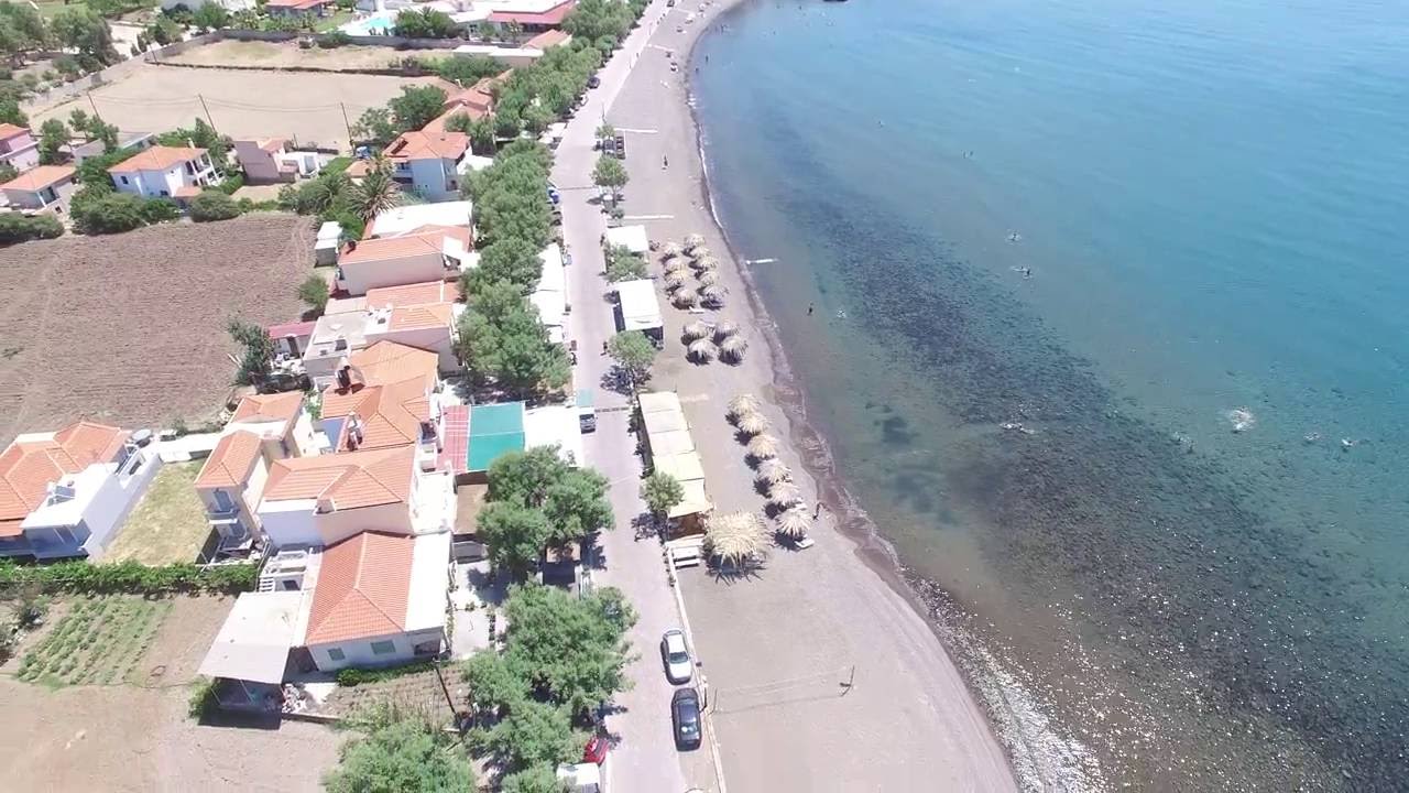tavari