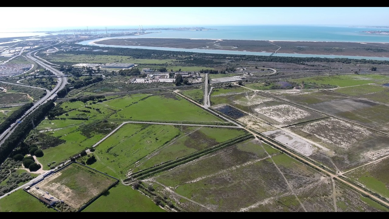 Puerto Real; C&aacute;diz