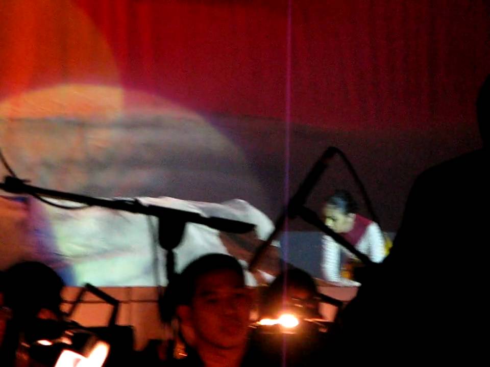 The Lion King Musical by Thalassa as Young Simba & friends Stampede scene 13 March 2010