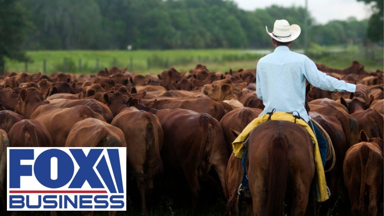 Tomi Lahren: Here’s how we can protect US ranchers