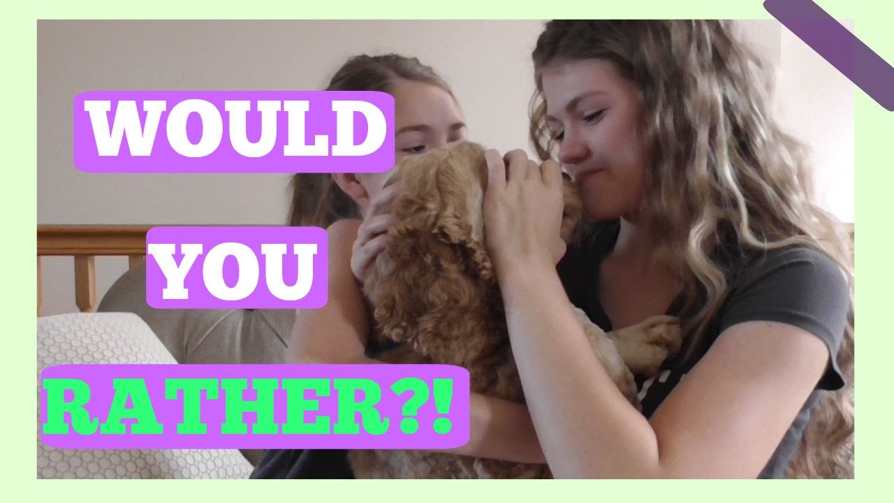 Would You Rather?!