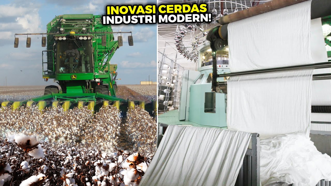 Proses Pabrik Modern Ubah Kapas Jadi Kain! Begini Tahap Pembuatan Kain Katun dari Awal Hingga Akhir