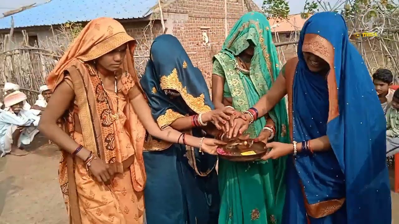 आदिवासी संस्कृति और जीवन शैली को दर्शाने वाला विडियो हैं / आदिवासी संस्कृति कैमरे मे कैद / tribeshow