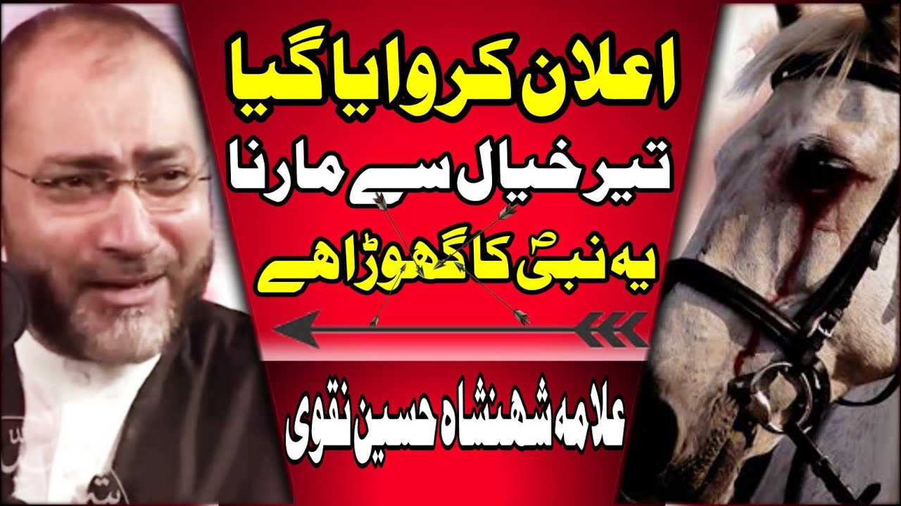 Nabi ki Sawari || Masaib e Zuljanah || Allama Shehenshah Hussain Naqvi 2021