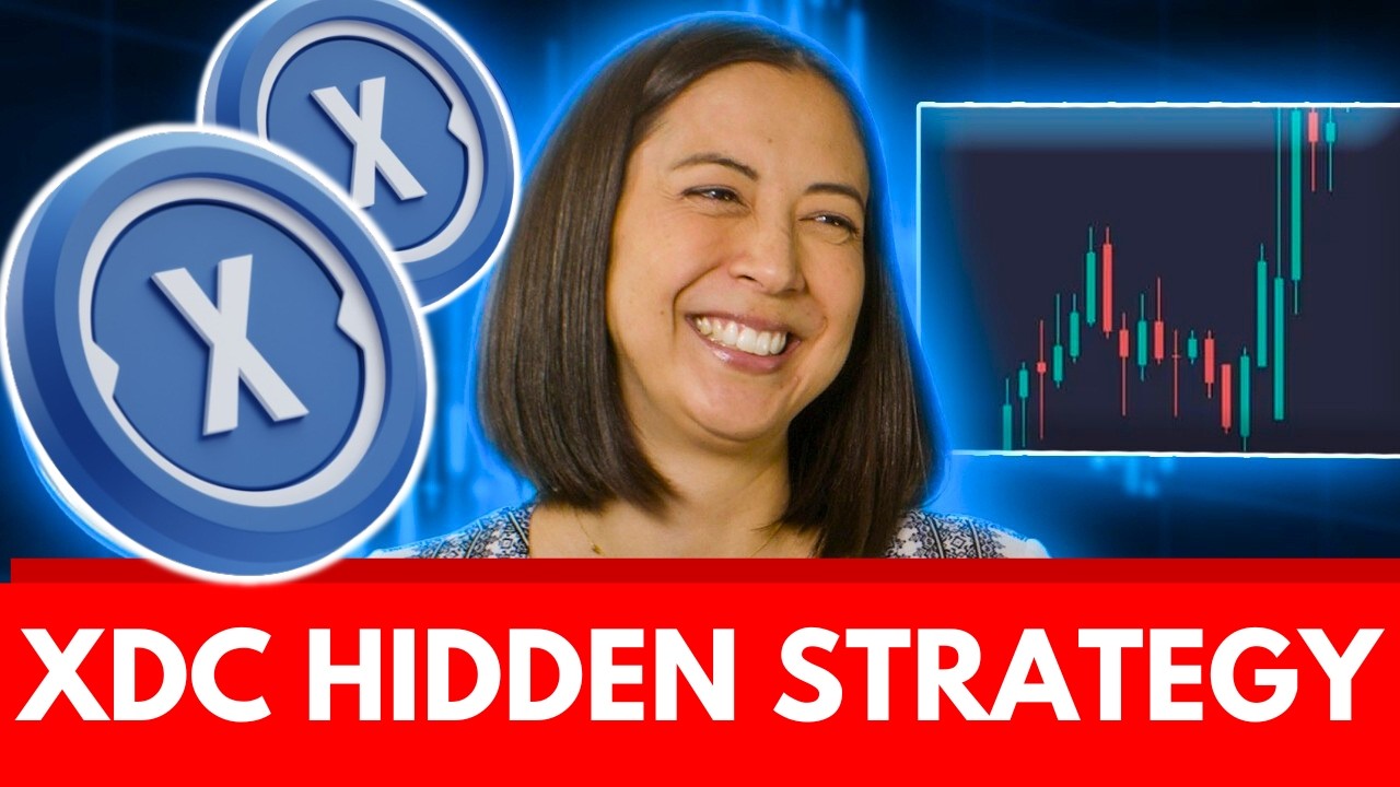 Стратегия скрытой инфраструктуры XDC! *Все пропали без вести*