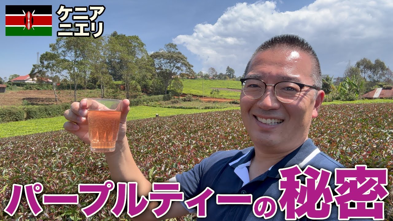 アフリカNo.1パープルティーの秘密を解明しに行きました【ケニア/ニエリ】