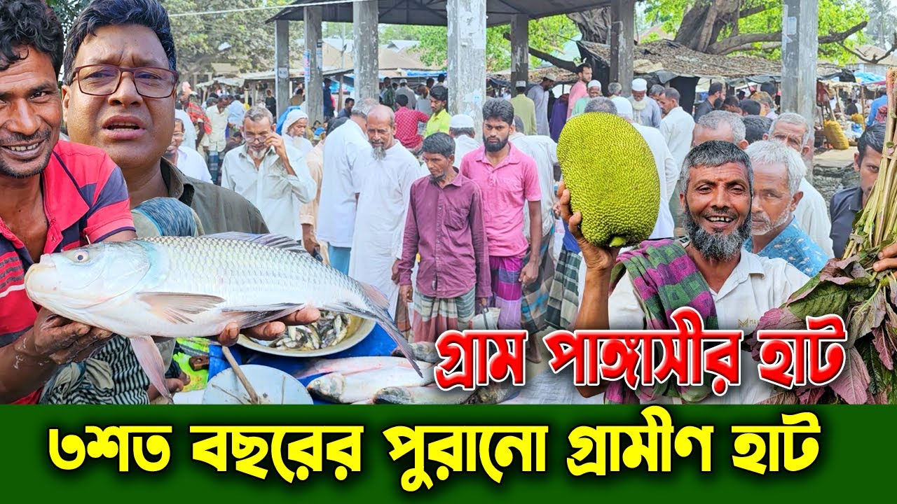 ৩শত বছরের পুরানো গ্রামীণ হাট |Amazing Hat Market of Gram pangashi Bazar in Sirajgonj