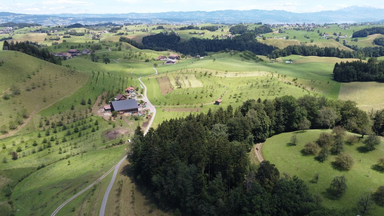 Agroforst Schweiz | Zwei Agroforstsysteme von Schweizer Landwirtschaftsbetrieben