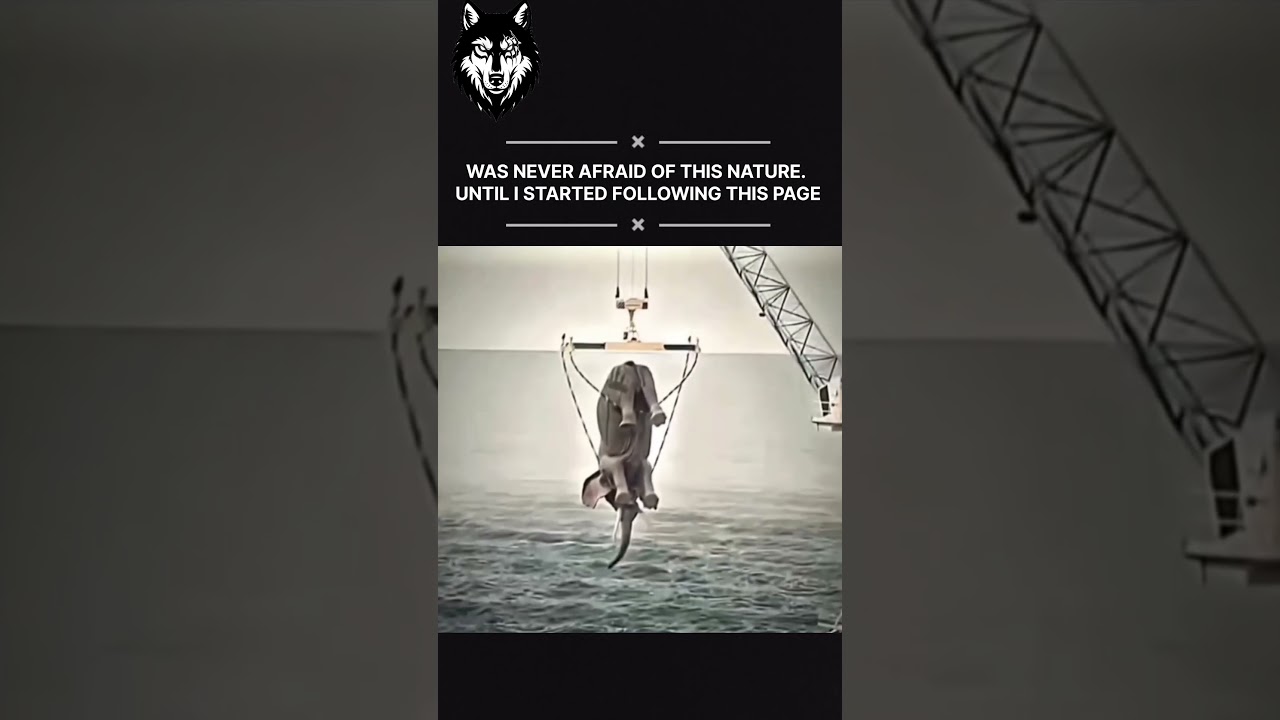 Ancient myth to modern meaning Leviathan  symbol of primordial chaos divine power and untamed forces