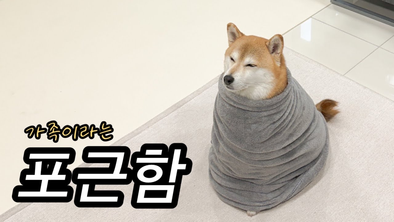 옥며들고만 당신은 이 썸네일을 클릭하고 말겁니다