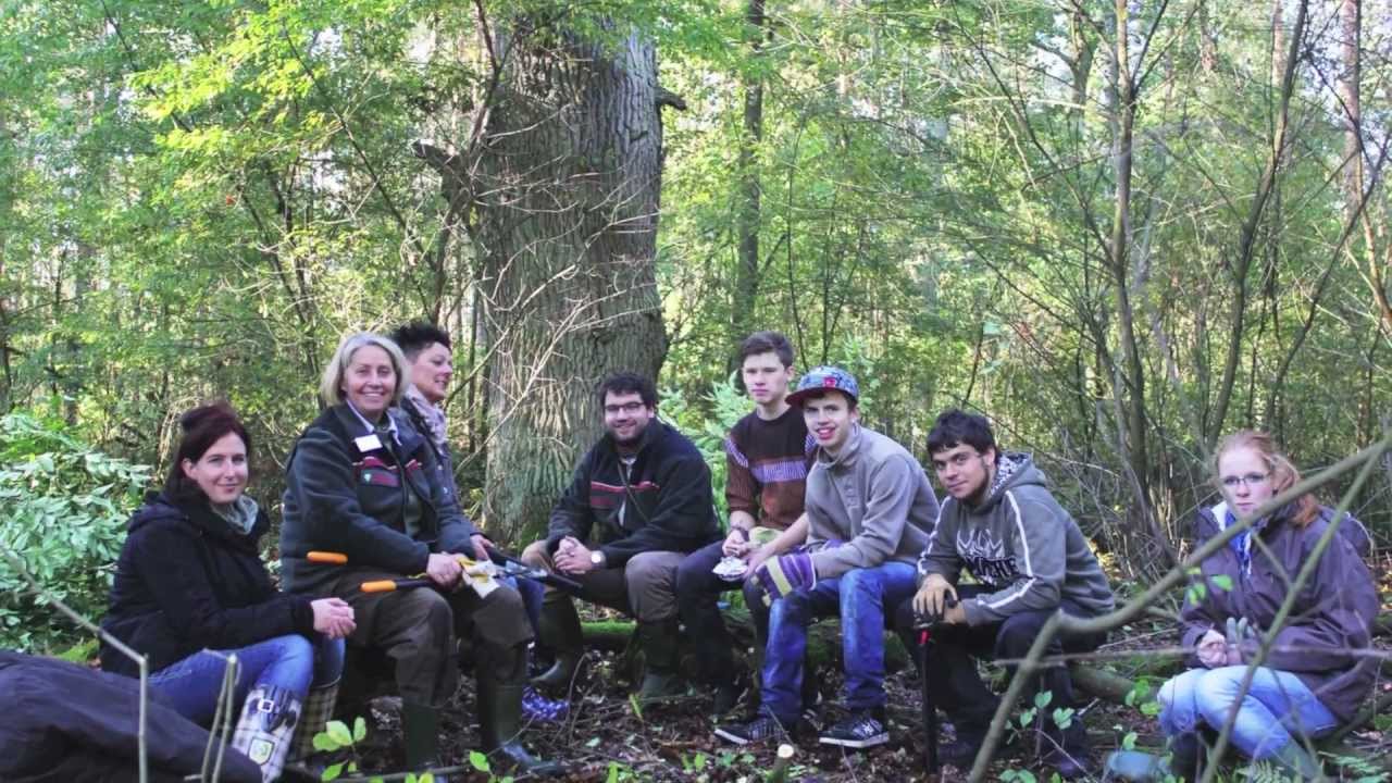 Hutewald in Celle
