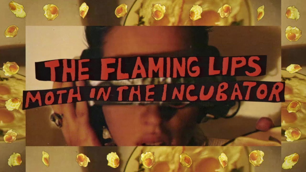 Moth In The Incubator (Live in Austin, August '93) - The Flaming Lips