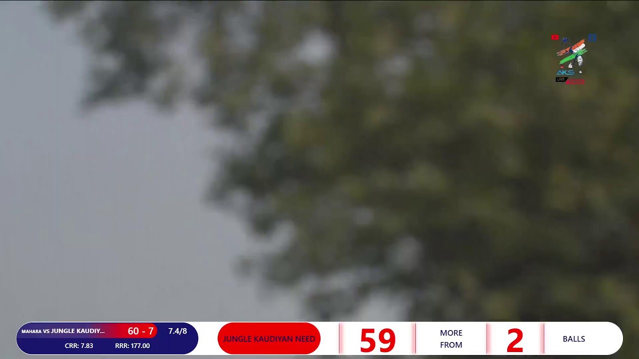 jungle kaudiyan vs Maharajgank zila jai maa bamant cricket pratiyogita bansthan