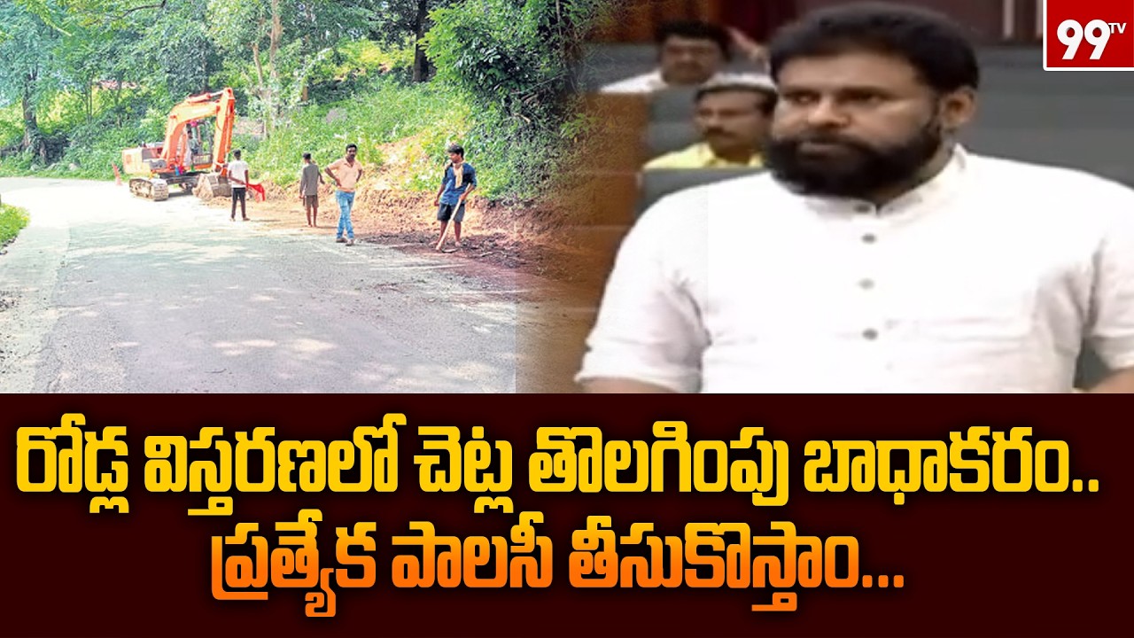 రోడ్ల విస్తరణలో చెట్ల తొలగింపు బాధాకరం.. ప్రత్యేక పాలసీ తీసుకొస్తాం | Deputy CM Pawan Kalyan | 99TV