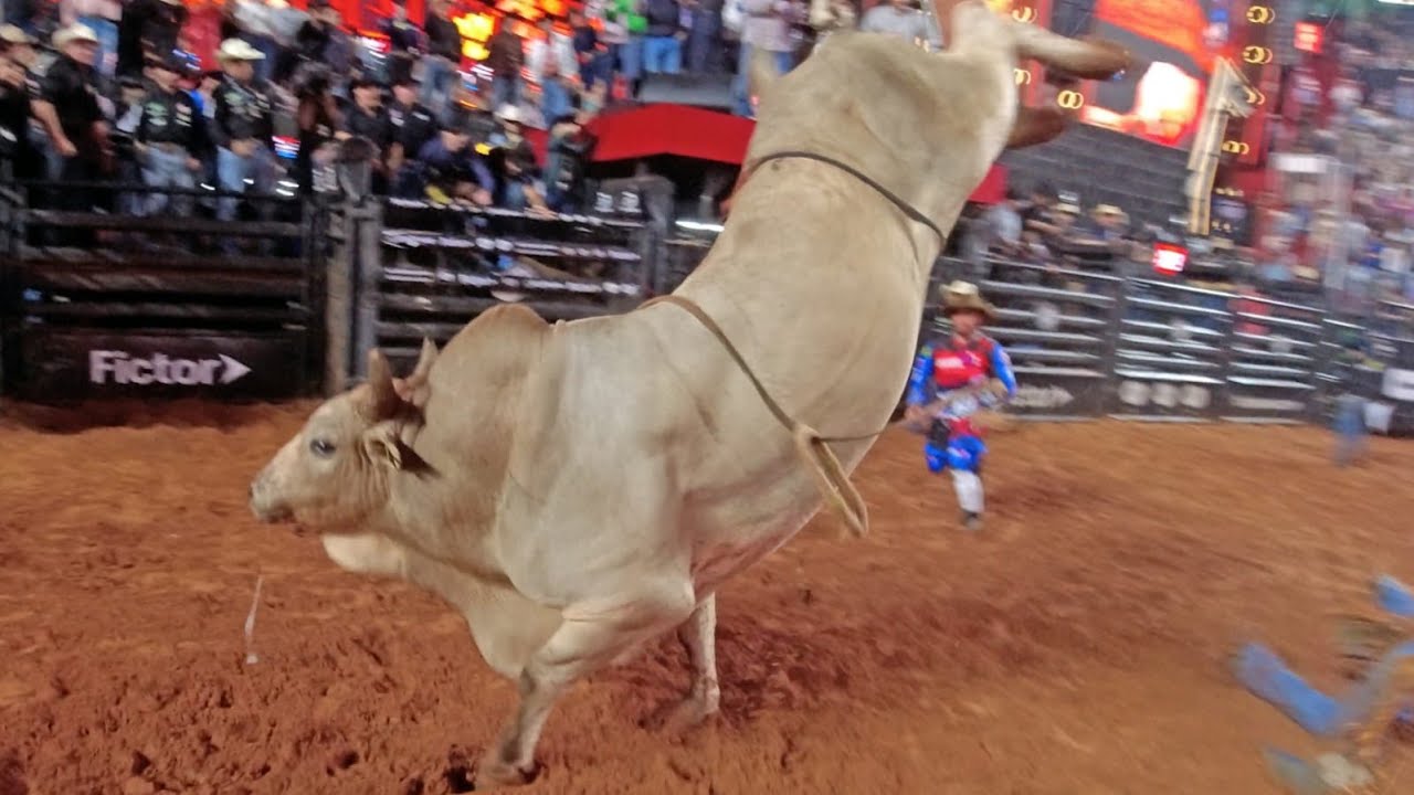 BARRETOS International Rodeo 2025 (QUINTA / MELHORES MOMENTOS)