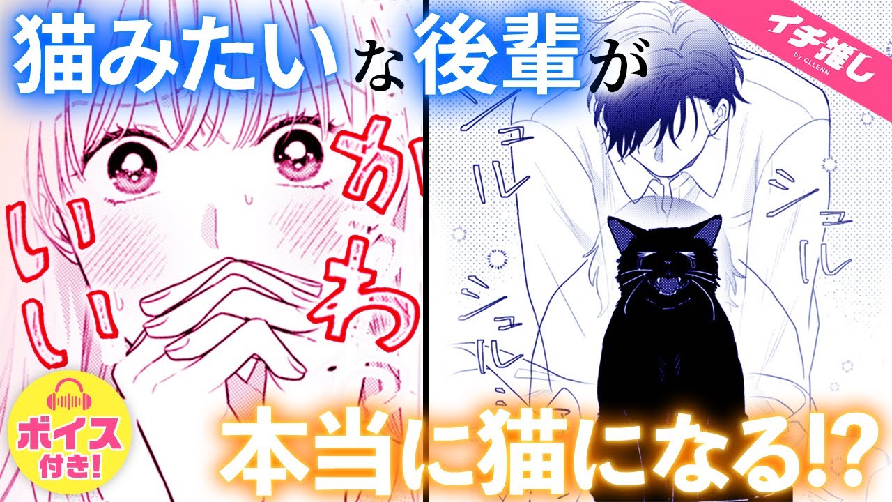 【漫画】甘やかしたい猫系男子にはかわいい秘密が…【職場恋愛・カップル・ねこ】