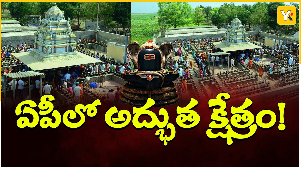 ఏపీలో అద్భుత క్షేత్రం! 1116 శివలింగాలు.. | శివరాత్రి బ్రహ్మోత్సవాలు! | Jammulapalem Shiva Temple