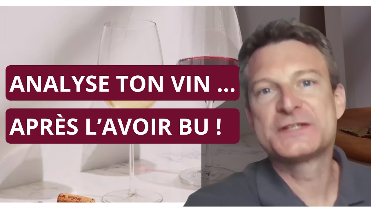 5 minutes pour analyser un vin… APRÈS l’avoir bu
