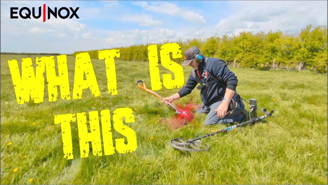 metal detecting on pasture | Minelab Equinox 800 Uk