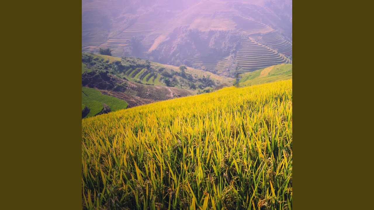Fujian