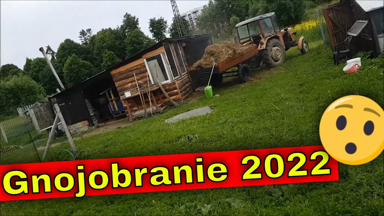 Już miałem lisa ... | Bezsilność i 8 ton gnoju.