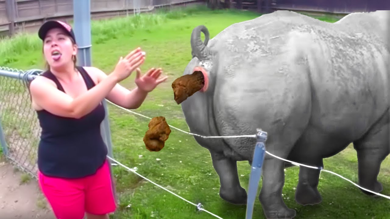 she didn't see the poop coming...