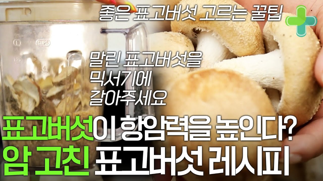 표고버섯으로 암 고쳤다! 항암력 높이는 표고버섯 레시피!