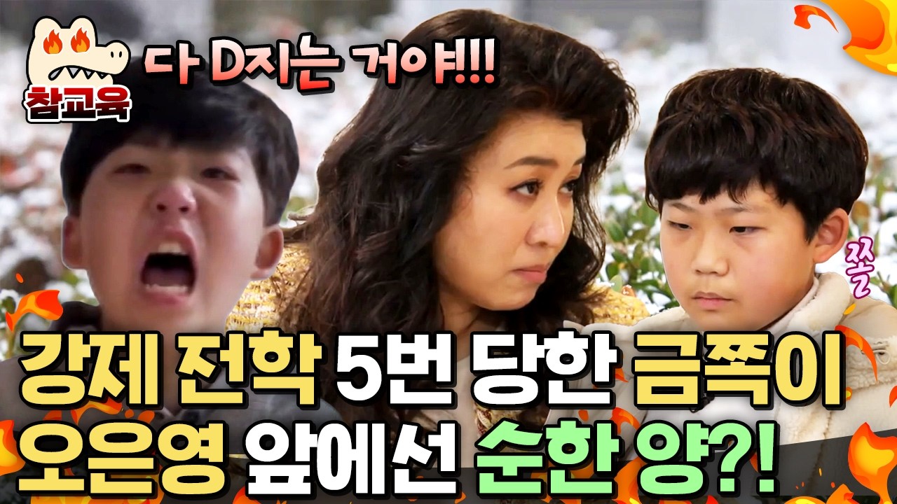 [#참교육] 유치원 강제 전학 5번 당한 금쪽이... 오은영 앞에선 순한 양?🤣 | #금쪽같은내새끼 82회
