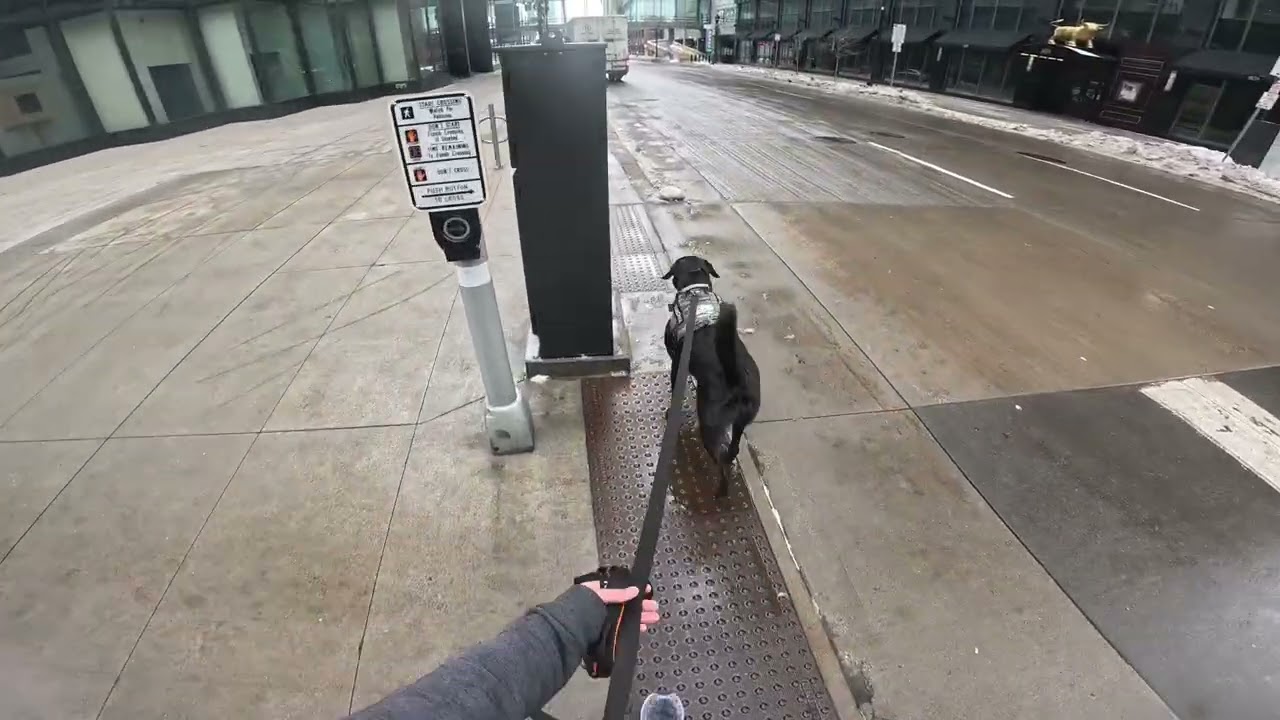 #176 double blind trail Downtown Mpls. TD Dale/TDH Jess. 1/6/26